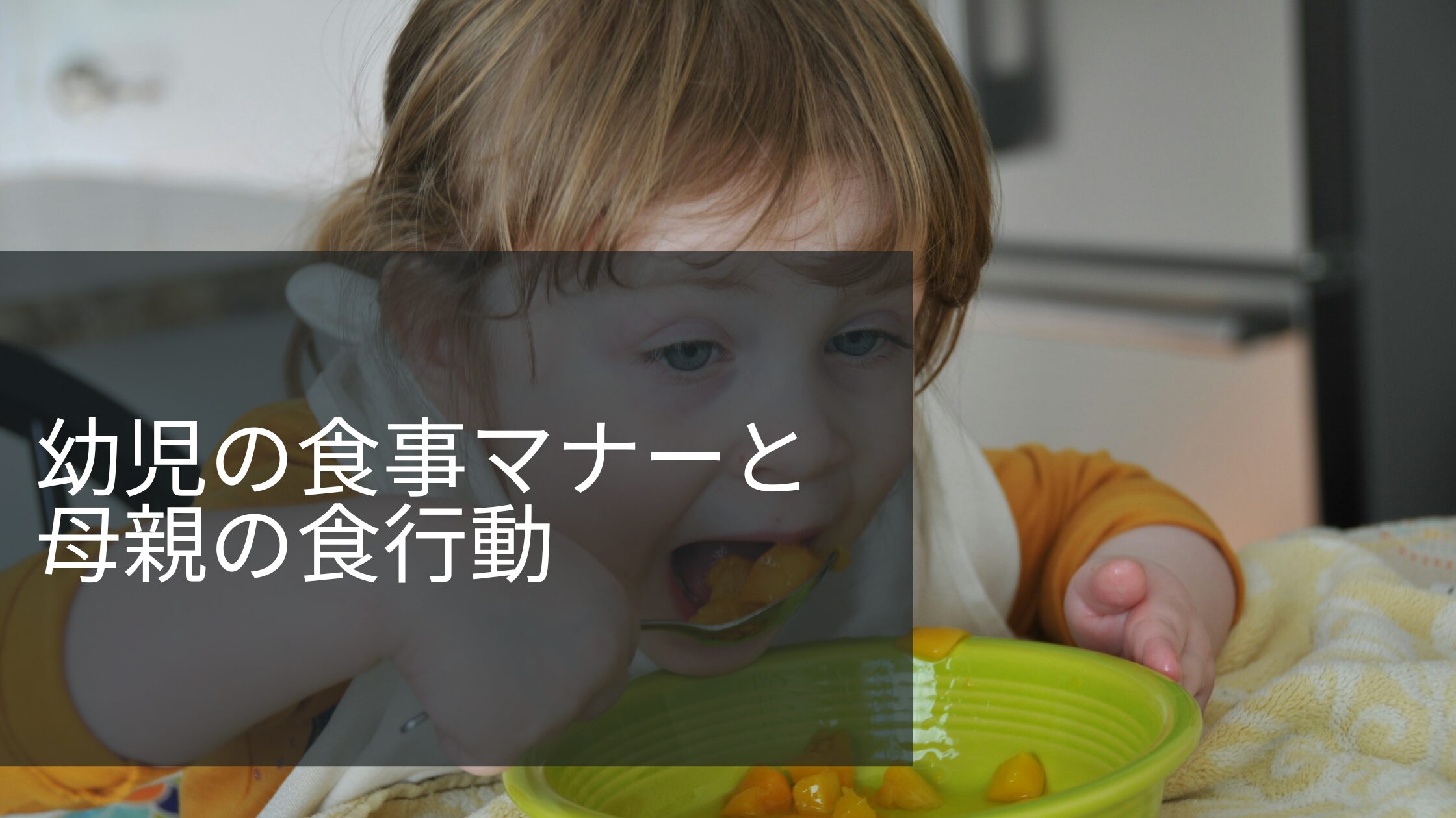 母親の食行動と子供の食育